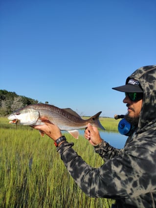 Flood Tide Sight Fishing 