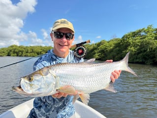 Tarpons In Recife, Brazil
