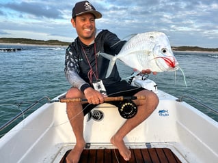 Tarpons In Recife, Brazil