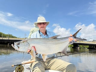 Tarpons In Recife, Brazil