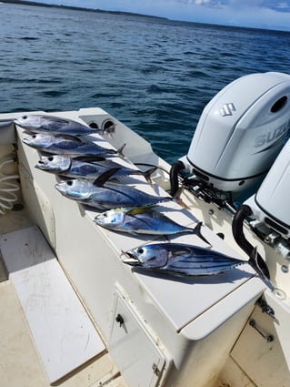 Offshore Fishing Adventure