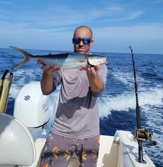 Offshore Fishing Adventure