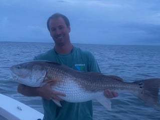Inshore/Nearshore Fishing Trip
