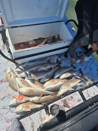 Fish On The Hook