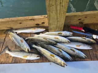 Fish On The Hook