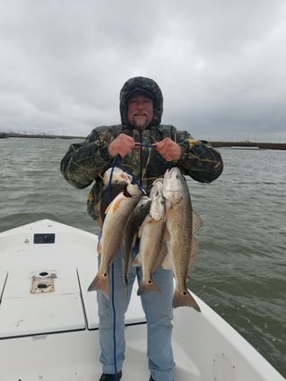 1/2 Day Bay Trip