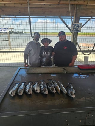 1/2 Day Bay Trip