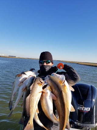 1/2 Day Bay Trip