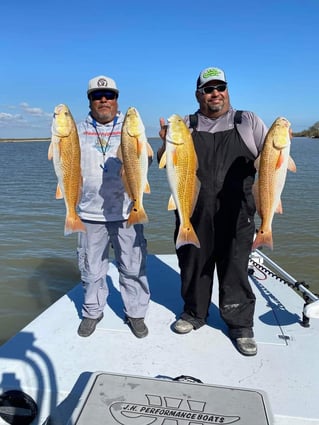 1/2 Day Bay Trip