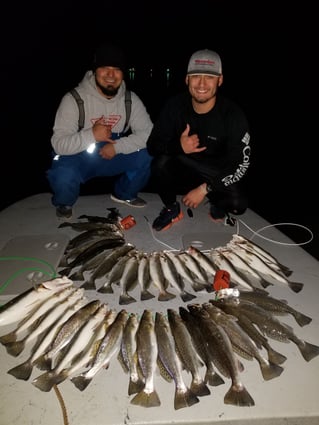 1/2 Day Bay Trip