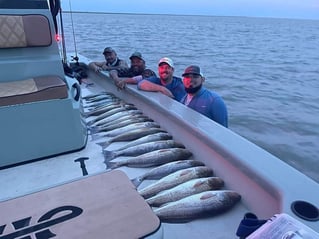 1/2 Day Bay Trip