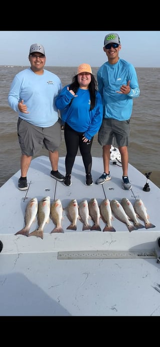 1/2 Day Bay Trip