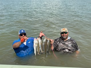 1/2 Day Bay Trip
