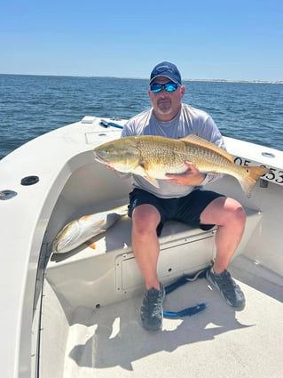 6-8 Hour Trip – Inshore/Nearshore