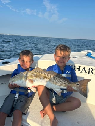 6-8 Hour Trip – Inshore/Nearshore