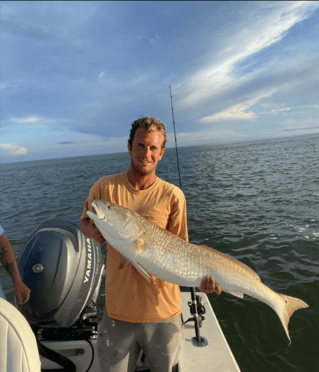 6-8 Hour Trip – Inshore/Nearshore