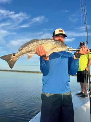 3-8 Hour Day Trip