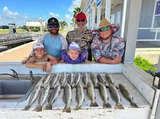 Inshore Fishing Trip