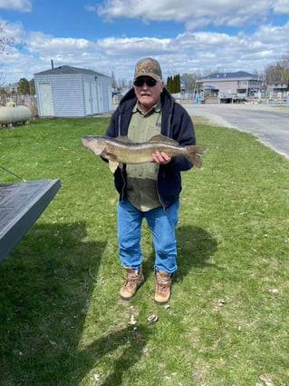 Half-day Walleye Fishing