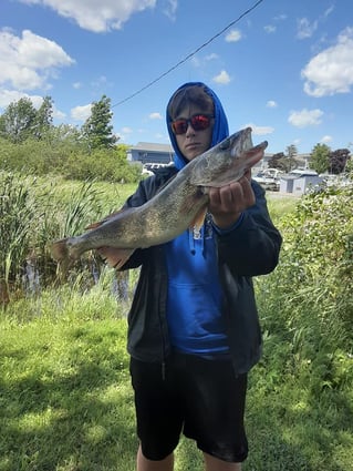Half-day Walleye Fishing