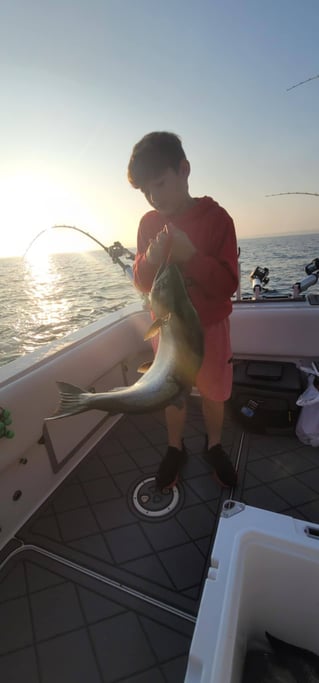 Guided Freshwater Fishing