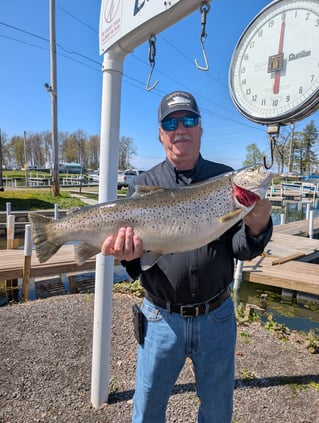 Salmon & Trout Trolling