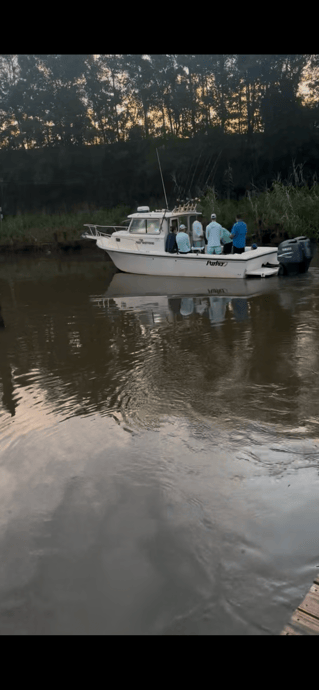 Offshore Fishing!