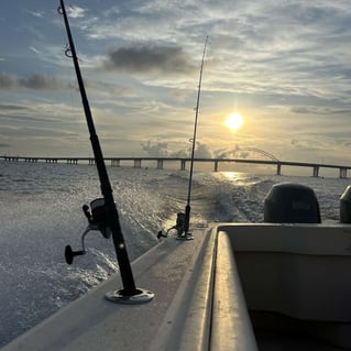 Snapper Trip