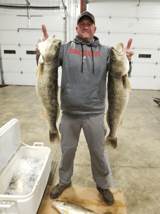 Lake Erie Walleye Fishing