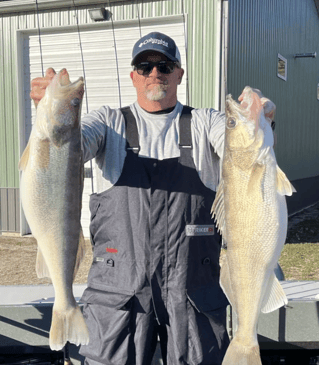 Lake Erie Walleye Fishing
