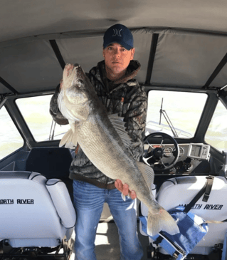 Lake Erie Walleye Fishing