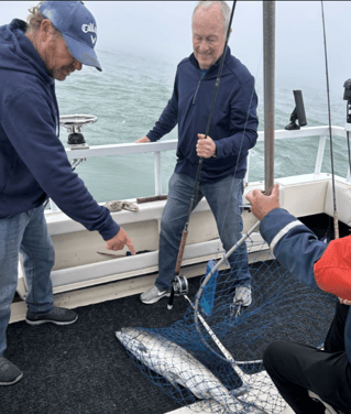 4-8 Hour Fishing Trip