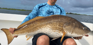Bay Fishing For One, Two, Or, Three