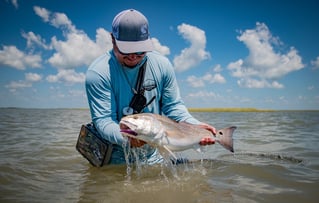 Inshore Cape Fishing