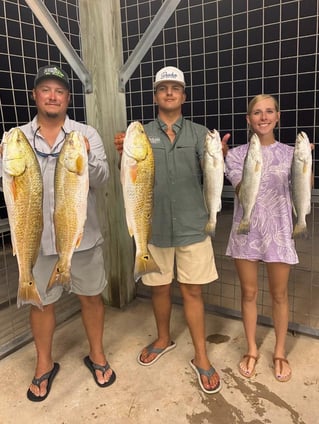 Inshore Cape Fishing