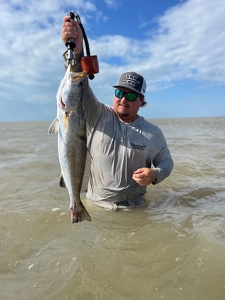 Inshore Cape Fishing