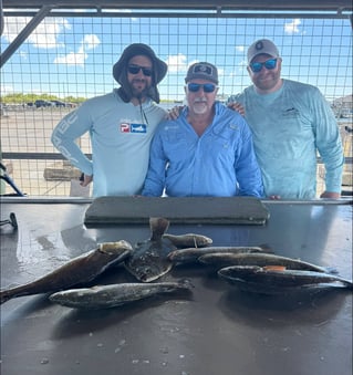 Inshore Cape Fishing