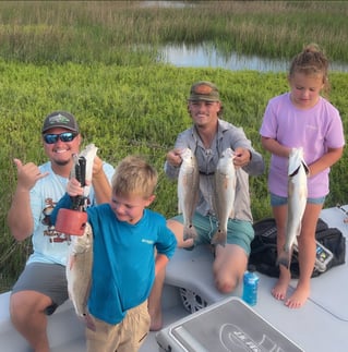 Inshore Cape Fishing