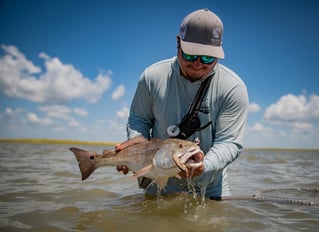 Inshore Cape Fishing