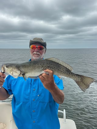 Inshore 6-hour Trip