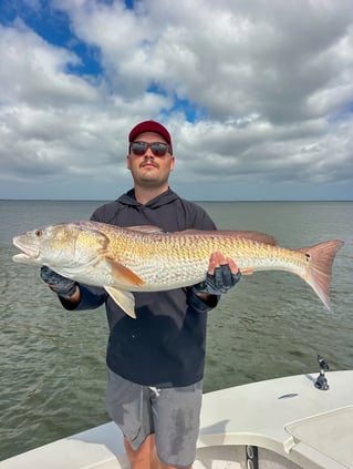 Inshore 6-hour Trip