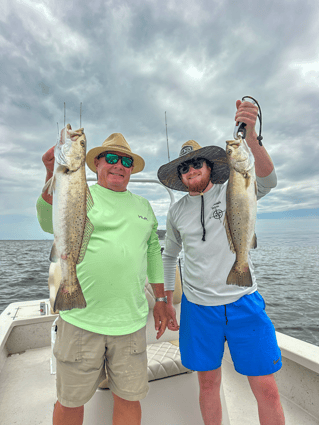 Inshore 6-hour Trip