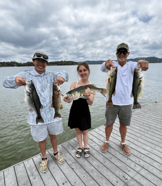Bass Fishing Table Rock Lake