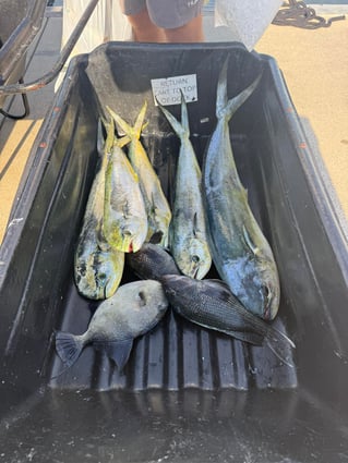 Nearshore & Reef Fishing