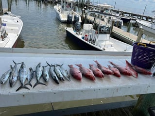 Nearshore & Reef Fishing
