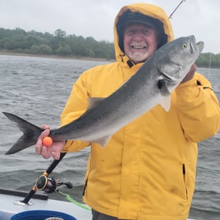 8 Hour Trip – Fluke Sea Bass
