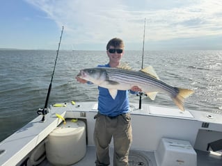 8 Hour Trip – Fluke Sea Bass