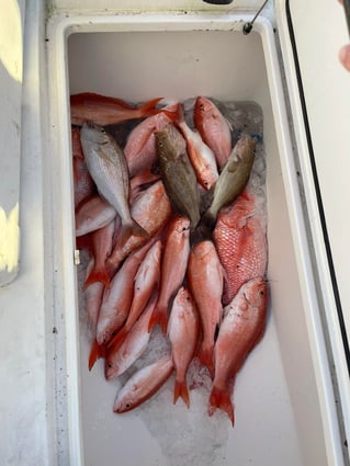 8-16 Hour Trip – Offshore