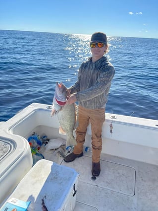 8-16 Hour Trip – Offshore