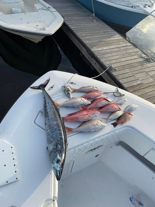 8-16 Hour Trip – Offshore